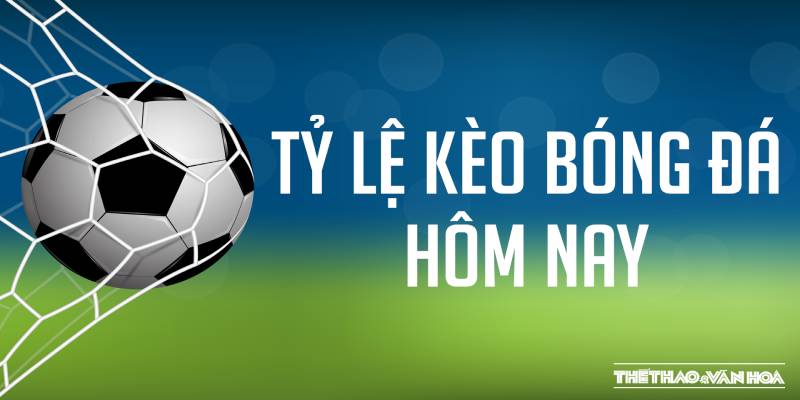 Chia sẻ kinh nghiệm về thời điểm cược thích hợp BET88